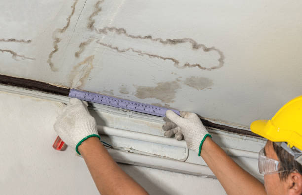 Reliable Structural Drying contractor in Courtland, VA by Water Damage Irwin